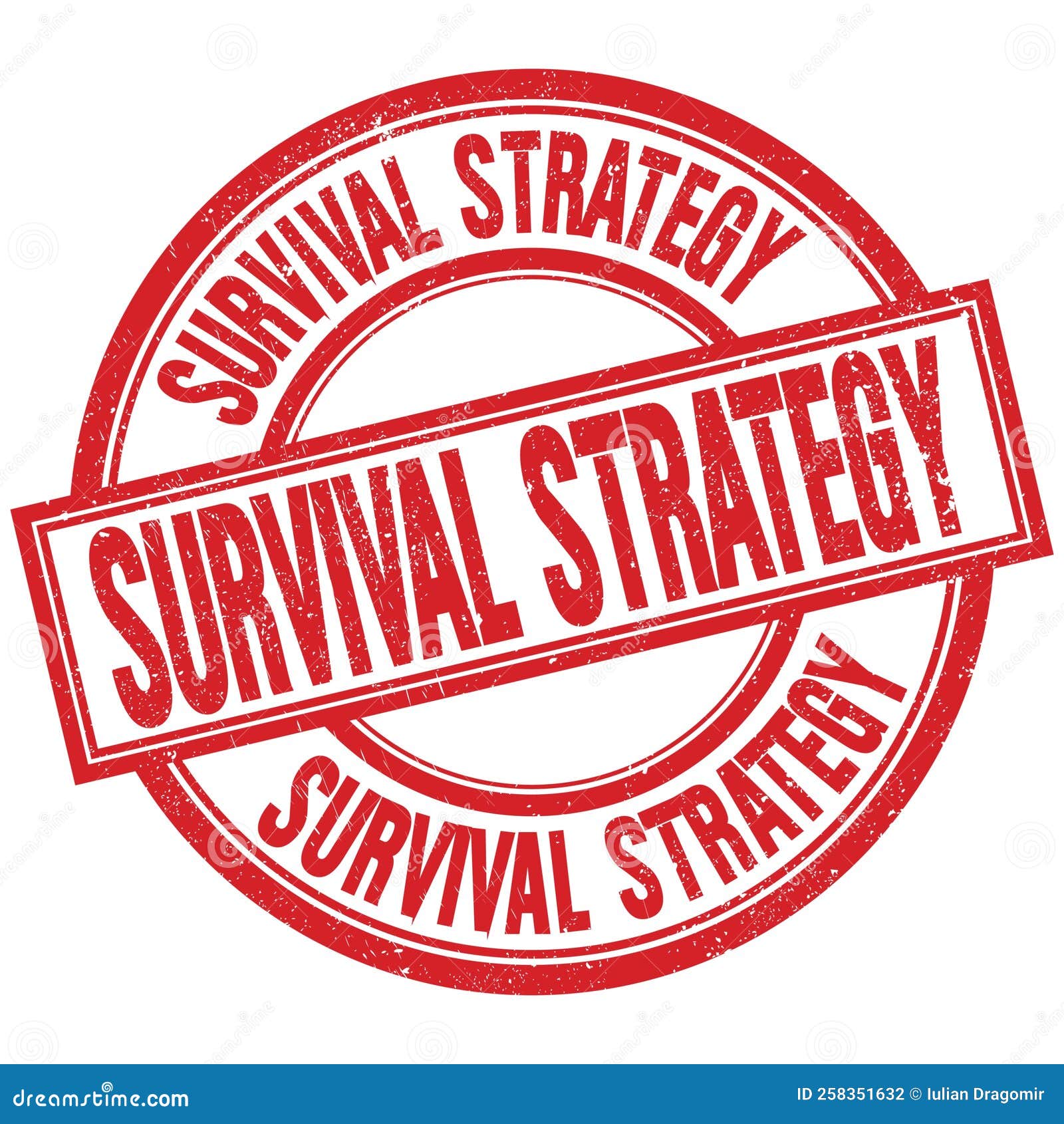 Instagram's Survival Strategy: CEO On Competing With TikTok's Rise Instagram's Survival Strategy: CEO On Competing With TikTok's Rise