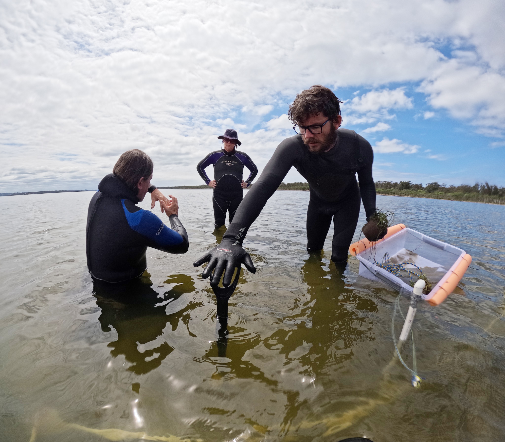 Investing In Scotland's Coast: The Importance Of Seagrass Planting Investing In Scotland's Coast: The Importance Of Seagrass Planting