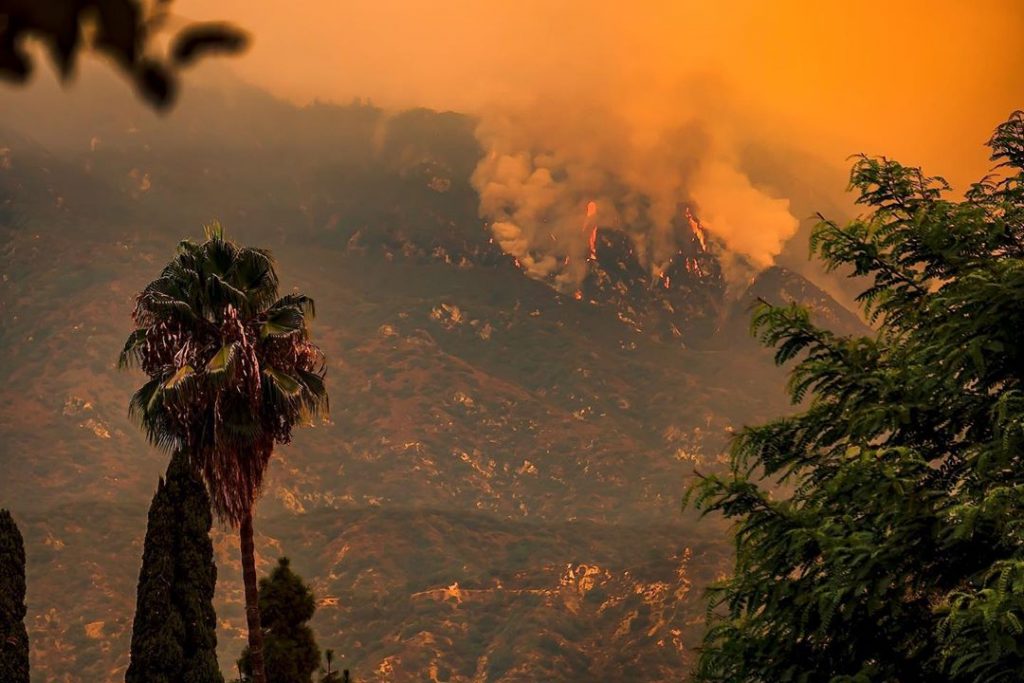 Is Betting On The Los Angeles Wildfires A Sign Of Our Times? An Examination Of The Issue Is Betting On The Los Angeles Wildfires A Sign Of Our Times? An Examination Of The Issue