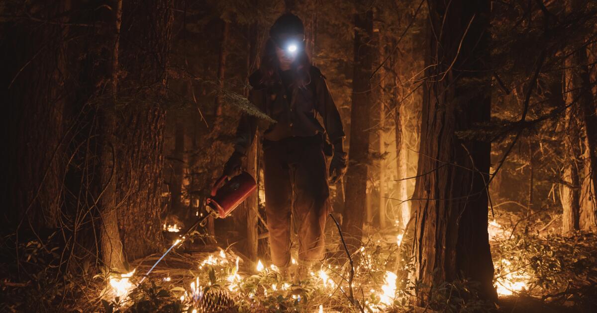 Is Betting On Wildfires Like The LA Fires A Sign Of The Times? Is Betting On Wildfires Like The LA Fires A Sign Of The Times?
