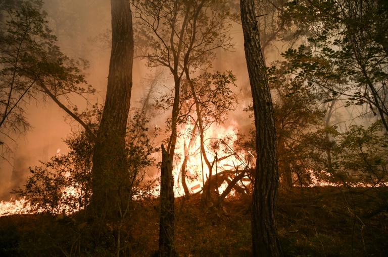 Is It Possible To Bet On The Los Angeles Wildfires? Exploring The Dark Side Of Disaster Is It Possible To Bet On The Los Angeles Wildfires? Exploring The Dark Side Of Disaster