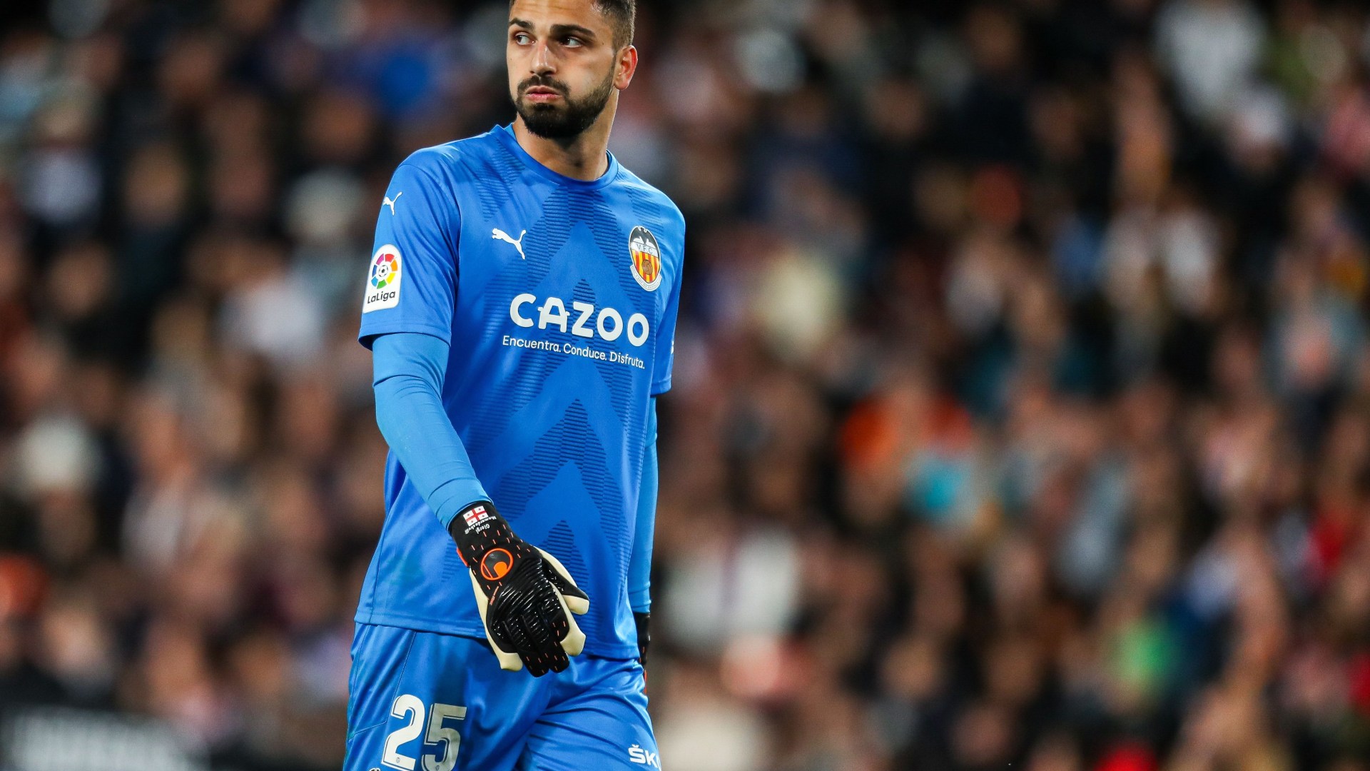 Is Mamardashvili's Form A Worry For Valencia? Westerveld's Concerns. Is Mamardashvili's Form A Worry For Valencia? Westerveld's Concerns.