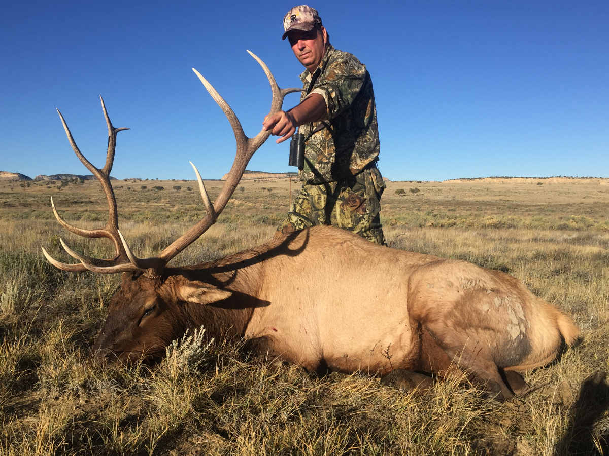 Jackson Elk Hunt: Public Comment Leads To Significant Permit Reductions Jackson Elk Hunt: Public Comment Leads To Significant Permit Reductions