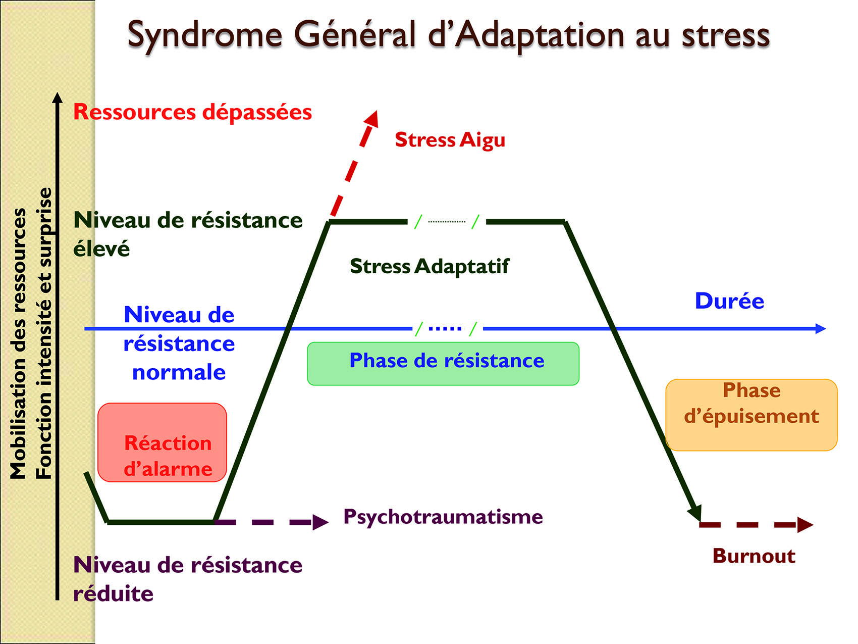 José Aldo : Une Stratégie D'Adaptation Pour Le Succès José Aldo : Une Stratégie D'Adaptation Pour Le Succès