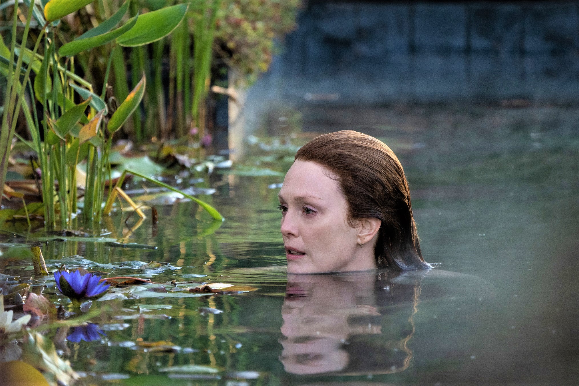 Julianne Moore Denies Being A Monster In New Siren Trailer Julianne Moore Denies Being A Monster In New Siren Trailer