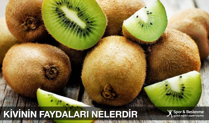 Kivinin Kabuğunun Faydaları Ve Zararları: Yenilip Yenilmeyeceği Hakkında Her Şey Kivinin Kabuğunun Faydaları Ve Zararları: Yenilip Yenilmeyeceği Hakkında Her Şey