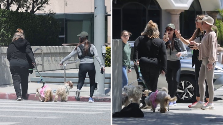 Kyle And Teddi's Explosive Argument: A Dog Walker Dispute Kyle And Teddi's Explosive Argument: A Dog Walker Dispute
