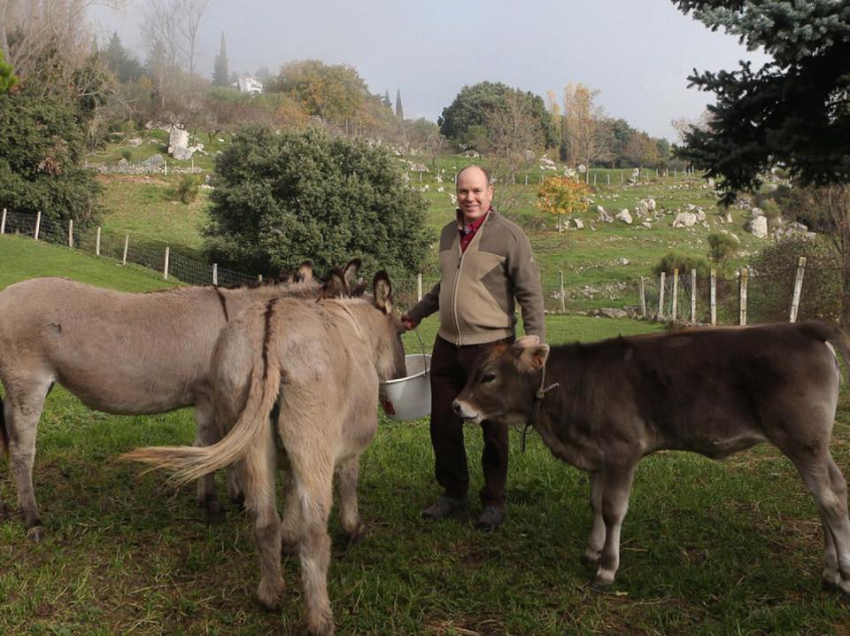 La Finca Roc Agel: Historia Y Detalles De La Residencia De Charlène Wittstock La Finca Roc Agel: Historia Y Detalles De La Residencia De Charlène Wittstock