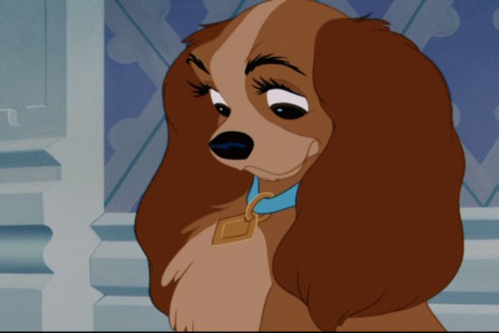 Lady And The Tramp Hot Dog: A Classic Cubs Game Moment Lady And The Tramp Hot Dog: A Classic Cubs Game Moment