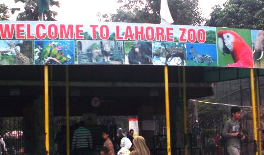 Lahore Zoo Ticket Price Hike: Clarification From Marriyum Aurangzeb