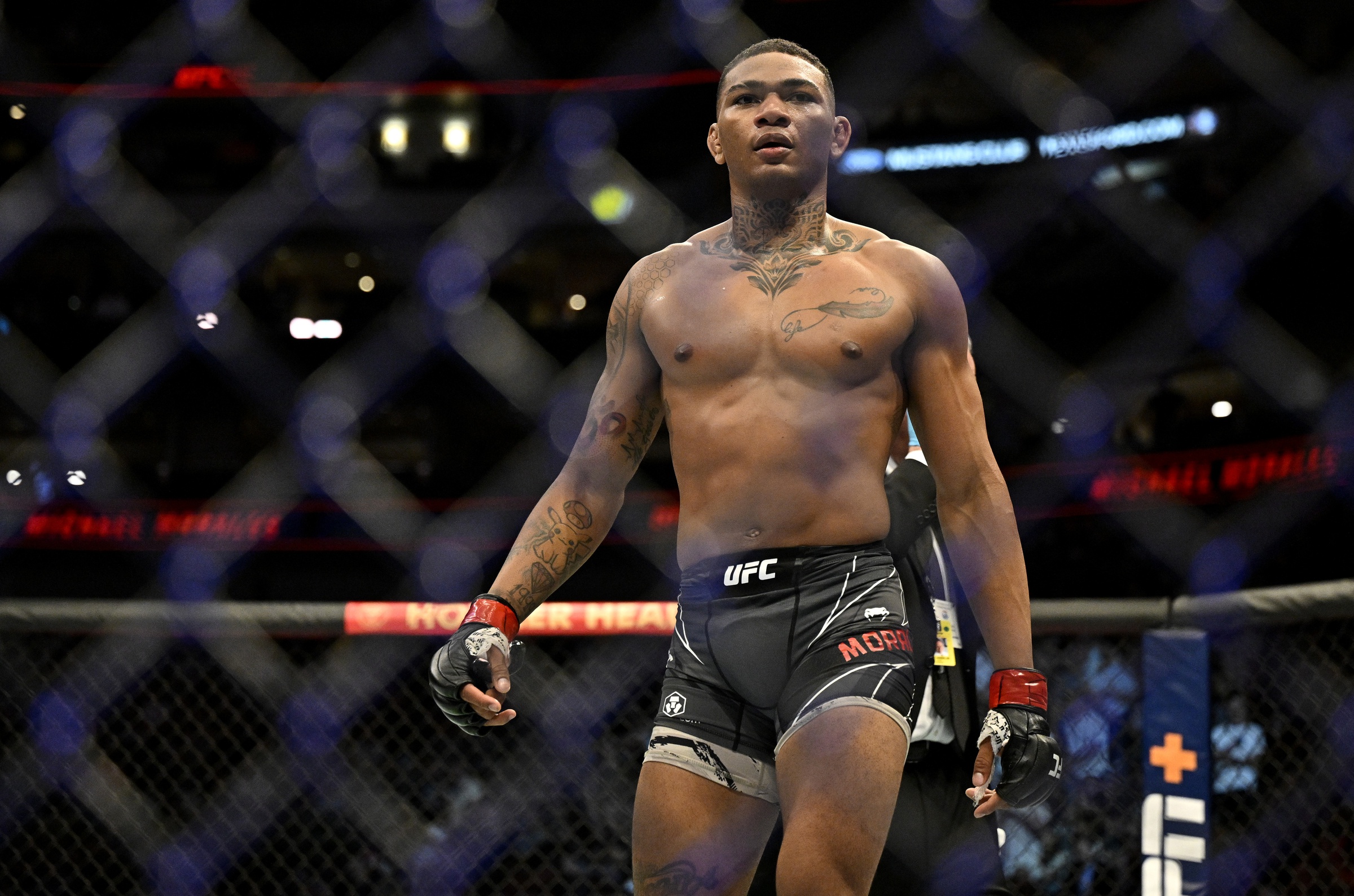 Live Blog: Gilbert Burns Vs. Michael Morales UFC Fight Night Breakdown Live Blog: Gilbert Burns Vs. Michael Morales UFC Fight Night Breakdown
