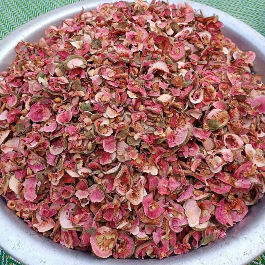 Loại Quả Xưa Nay Thành Đặc Sản 60.000đ/kg: Hương Vị Đặc Biệt Được Dân Thành Phố Ưa Chuộng Loại Quả Xưa Nay Thành Đặc Sản 60.000đ/kg: Hương Vị Đặc Biệt Được Dân Thành Phố Ưa Chuộng