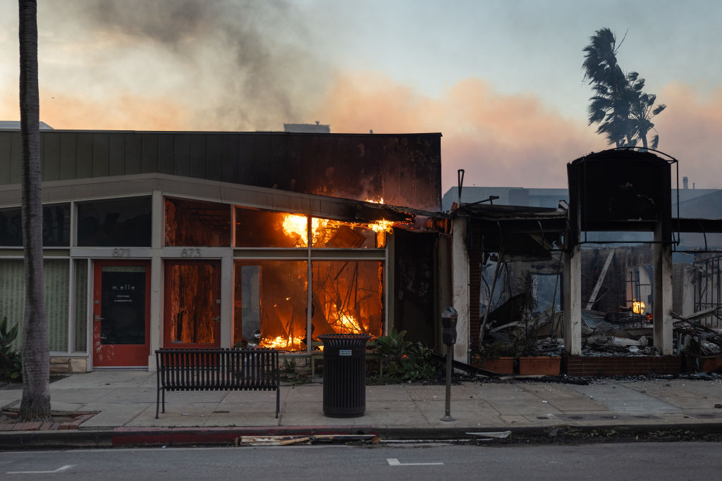 Los Angeles Palisades Fire: A List Of Celebrities Who Lost Property Los Angeles Palisades Fire: A List Of Celebrities Who Lost Property