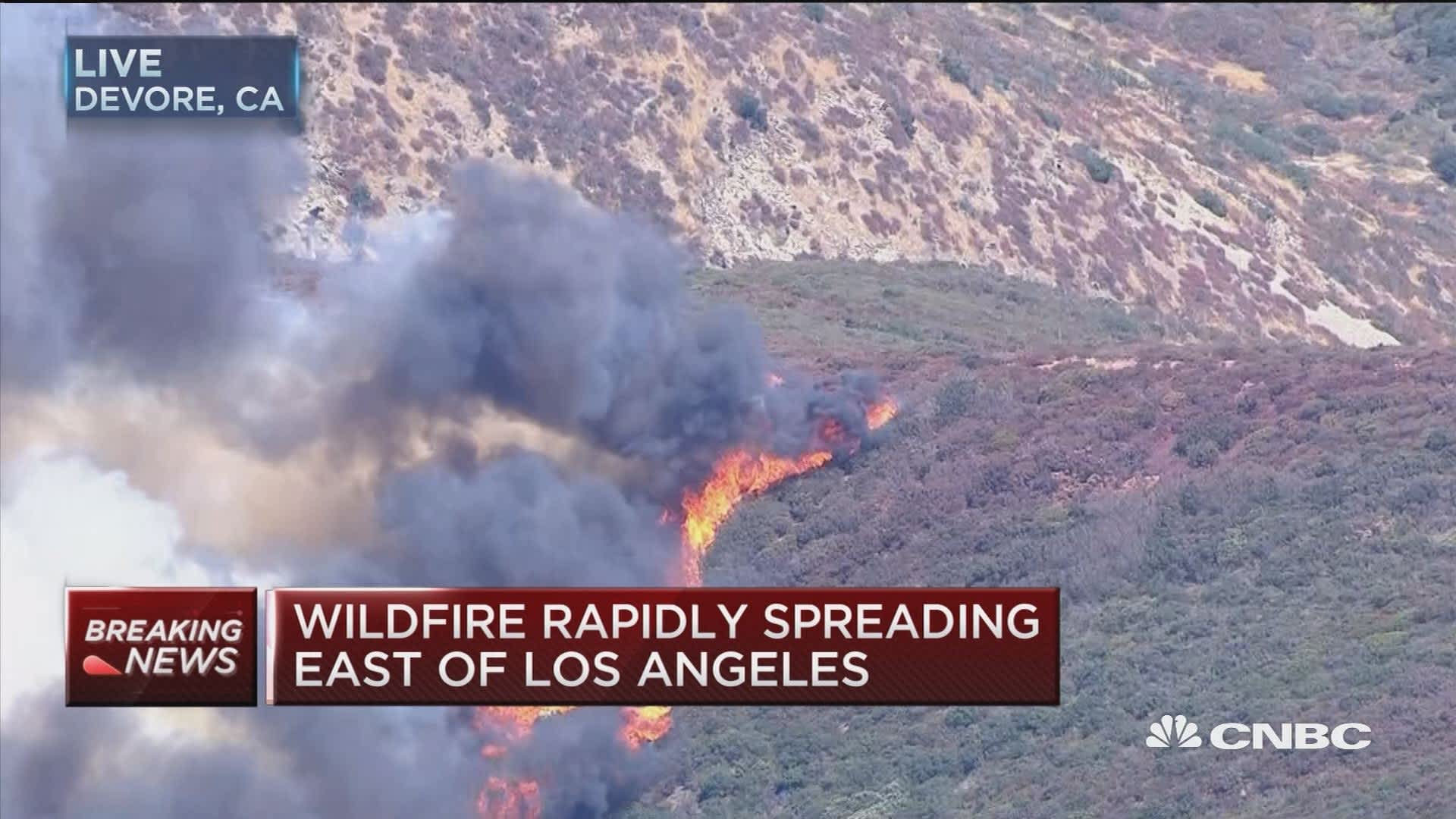 Los Angeles Wildfires And The Growing Market For Disaster Bets Los Angeles Wildfires And The Growing Market For Disaster Bets
