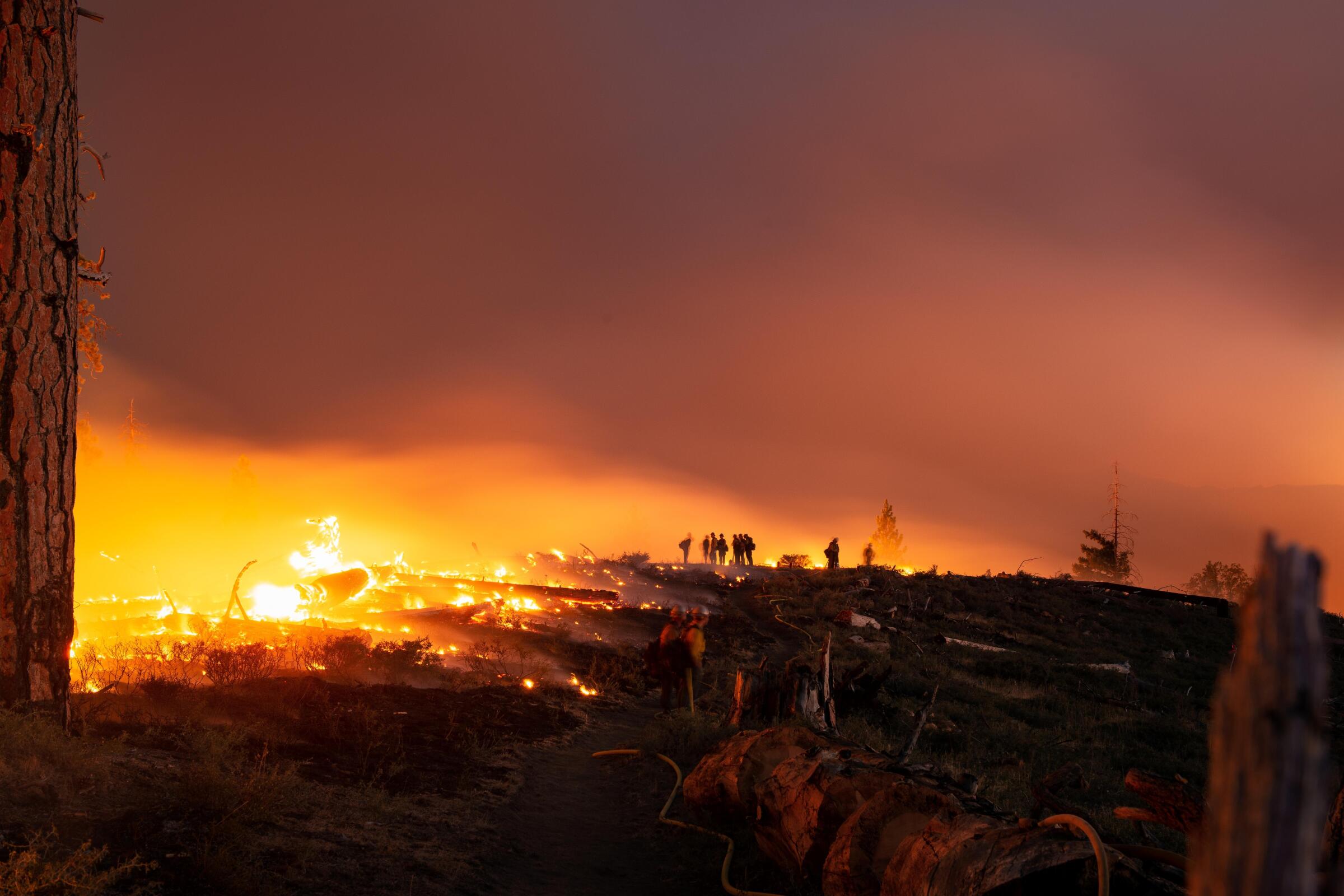 Los Angeles Wildfires: The Growing Market For Disaster-Related Gambling Los Angeles Wildfires: The Growing Market For Disaster-Related Gambling