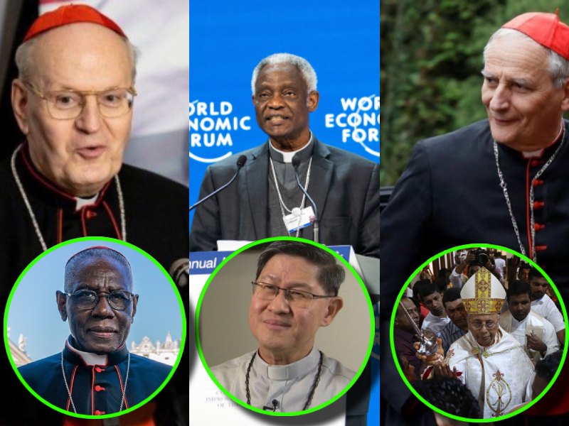 Los Favoritos Para Suceder Al Papa Francisco: Un Análisis De Las Posibilidades Los Favoritos Para Suceder Al Papa Francisco: Un Análisis De Las Posibilidades