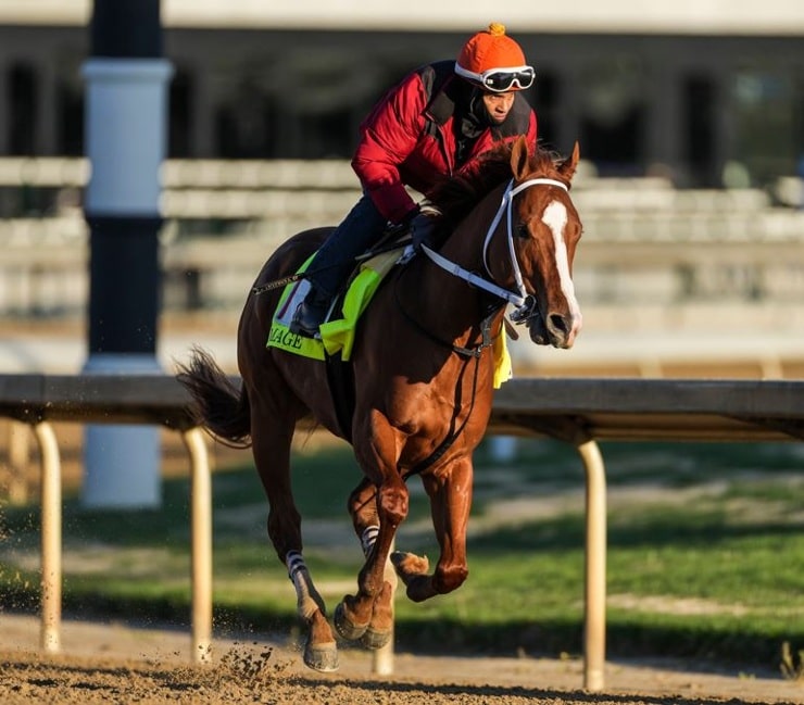 Louisiana Derby 2025: Expert Picks, Odds, And Kentucky Derby Implications Louisiana Derby 2025: Expert Picks, Odds, And Kentucky Derby Implications
