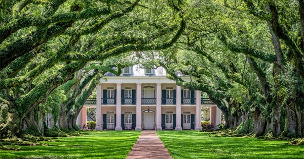 Louisiana Horror Film 