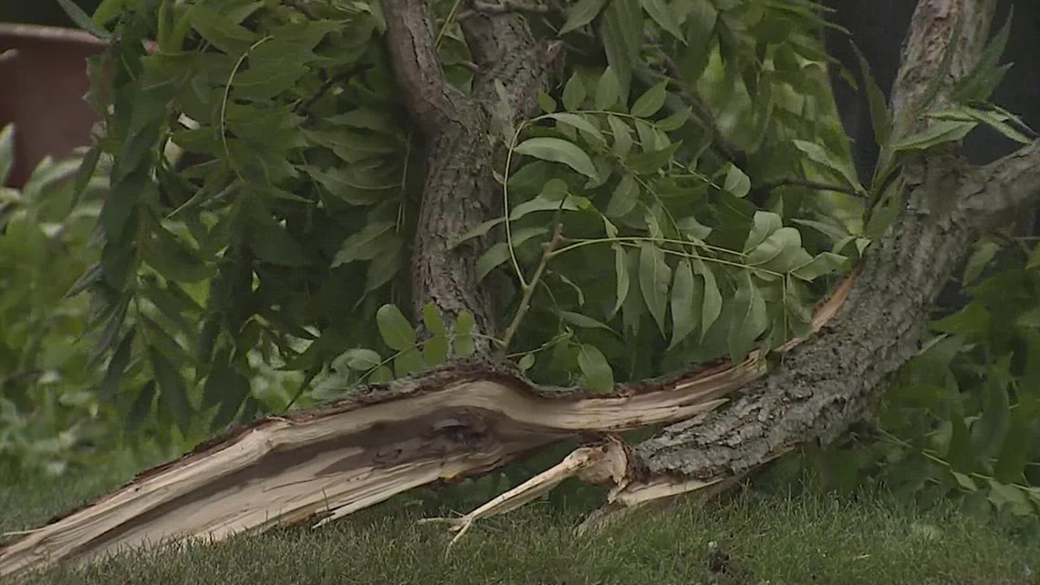 Louisville Storm Debris Pickup: Request Your Removal Now