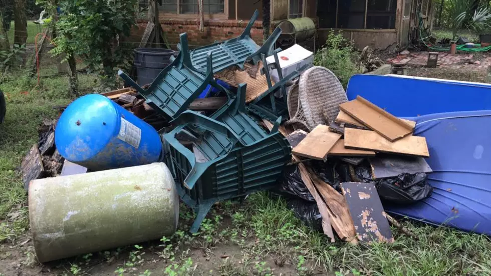 Louisville's Post-Storm Cleanup: Submit Your Debris Removal Request