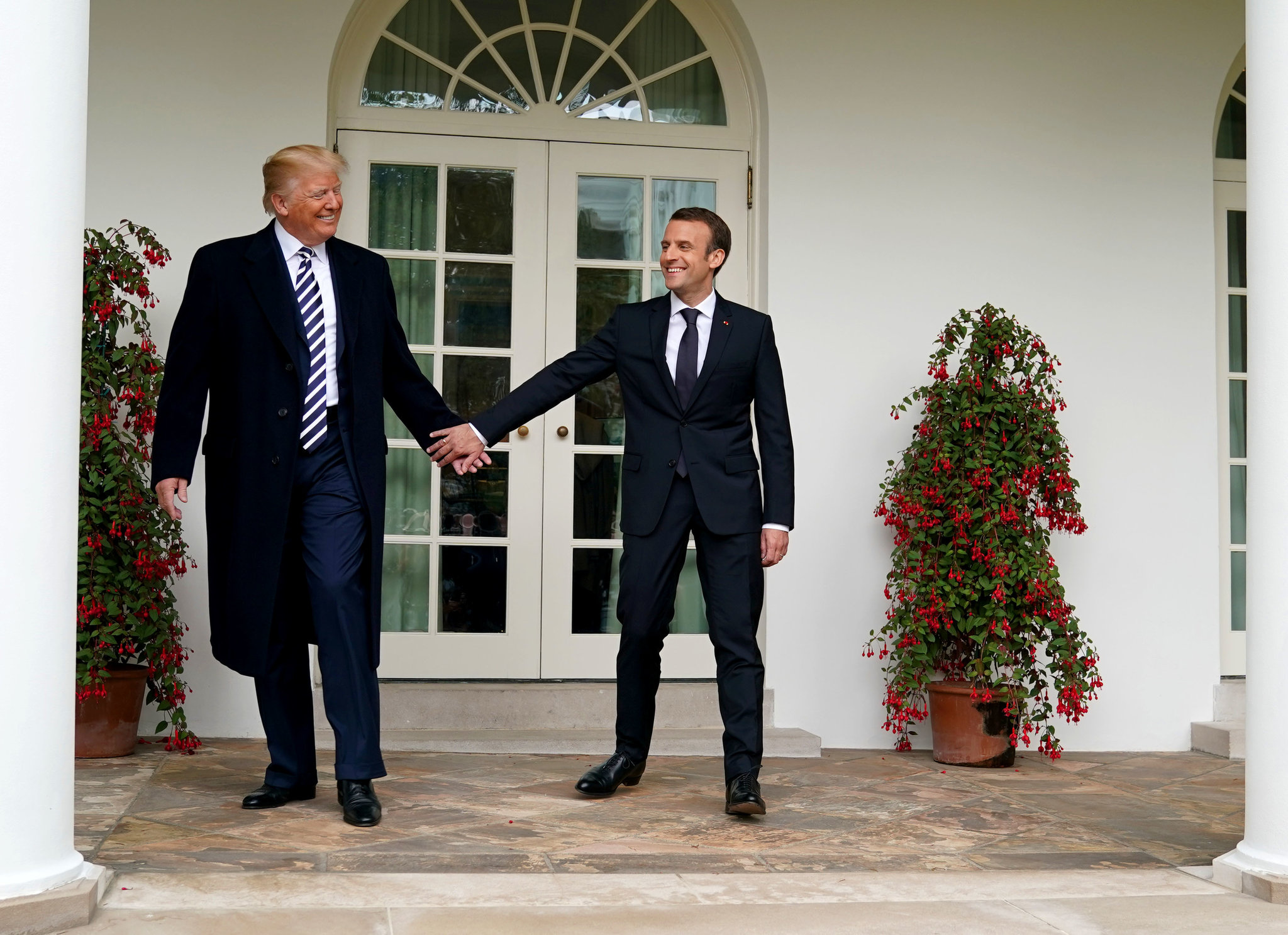 Macron Face À Sardou : Macron Face À Sardou :