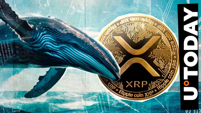 Major XRP Whale Acquires 20 Million Tokens: Market Analysis Major XRP Whale Acquires 20 Million Tokens: Market Analysis