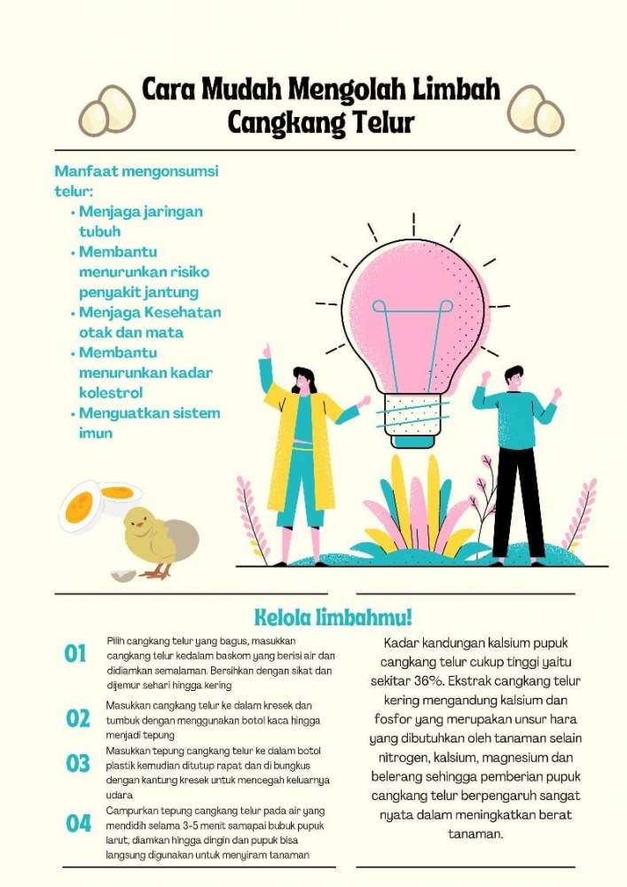 Manfaatkan Limbah Dapur: Cangkang Telur Untuk Kesejahteraan Tanaman Dan Hewan Manfaatkan Limbah Dapur: Cangkang Telur Untuk Kesejahteraan Tanaman Dan Hewan