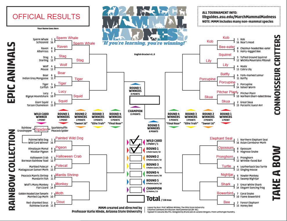 March Madness 2025 Second Round: Complete Guide To Games, TV Listings & Streaming March Madness 2025 Second Round: Complete Guide To Games, TV Listings & Streaming