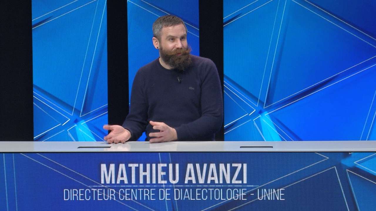 Mathieu Avanzi : Redéfinir L'enseignement Du Français Mathieu Avanzi : Redéfinir L'enseignement Du Français