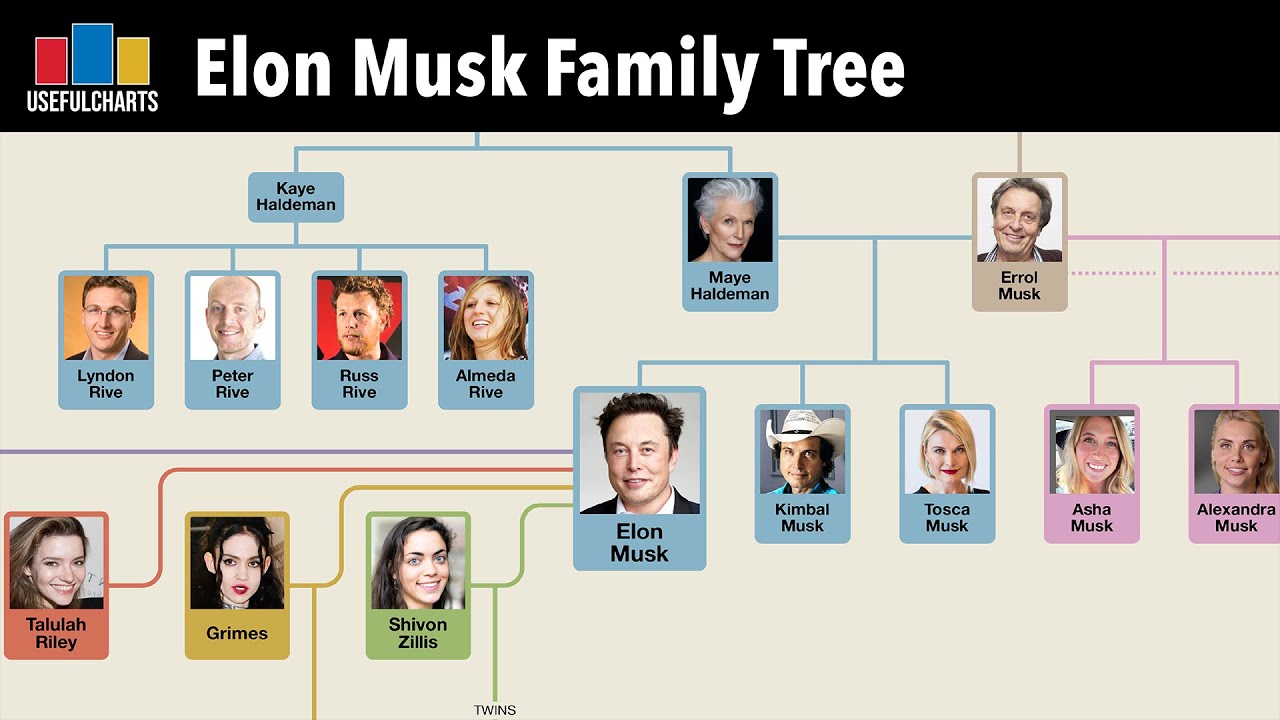 Maye Musk On Elon Musk's Family Wealth: Years Of Hardship And Triumph Maye Musk On Elon Musk's Family Wealth: Years Of Hardship And Triumph