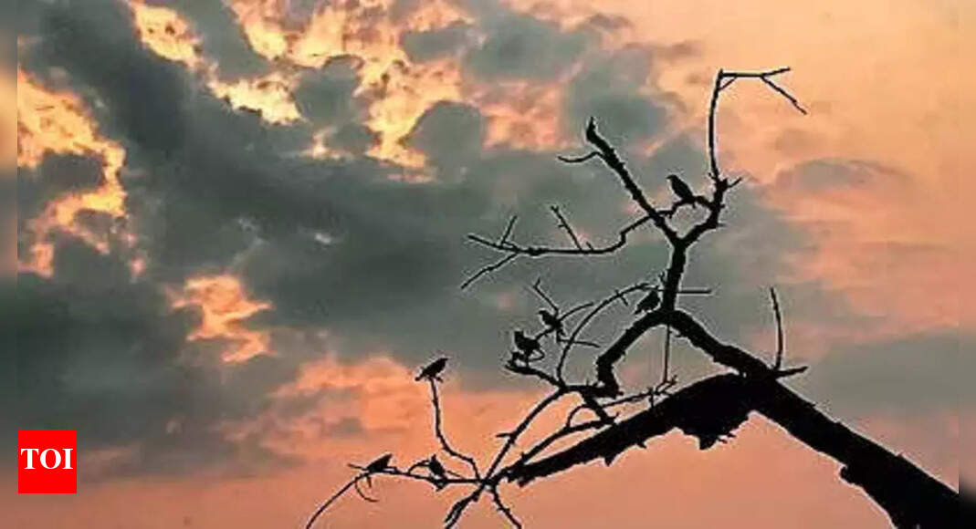 MeT Department Issues Thunderstorm Warning For Kolkata And Nearby Regions MeT Department Issues Thunderstorm Warning For Kolkata And Nearby Regions