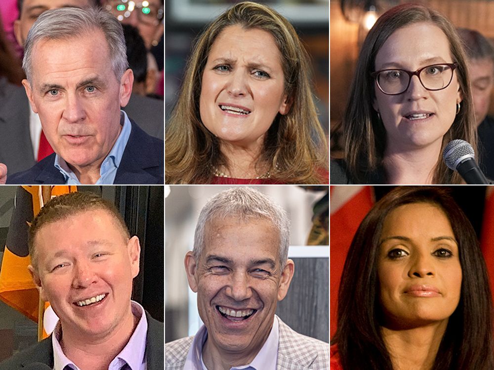 Meet Your NL Federal Election Candidates: A Comprehensive Guide Meet Your NL Federal Election Candidates: A Comprehensive Guide