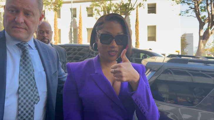 Megan Thee Stallion's Contempt Of Court Case Against Tory Lanez Megan Thee Stallion's Contempt Of Court Case Against Tory Lanez