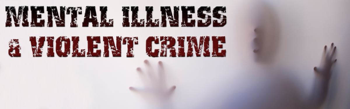 Mental Illness And Violent Crime: Addressing Academic Shortcomings Mental Illness And Violent Crime: Addressing Academic Shortcomings