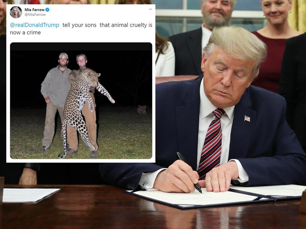 Mia Farrow Demands Trump Be Jailed For Venezuelan Gang Member Deportations Mia Farrow Demands Trump Be Jailed For Venezuelan Gang Member Deportations