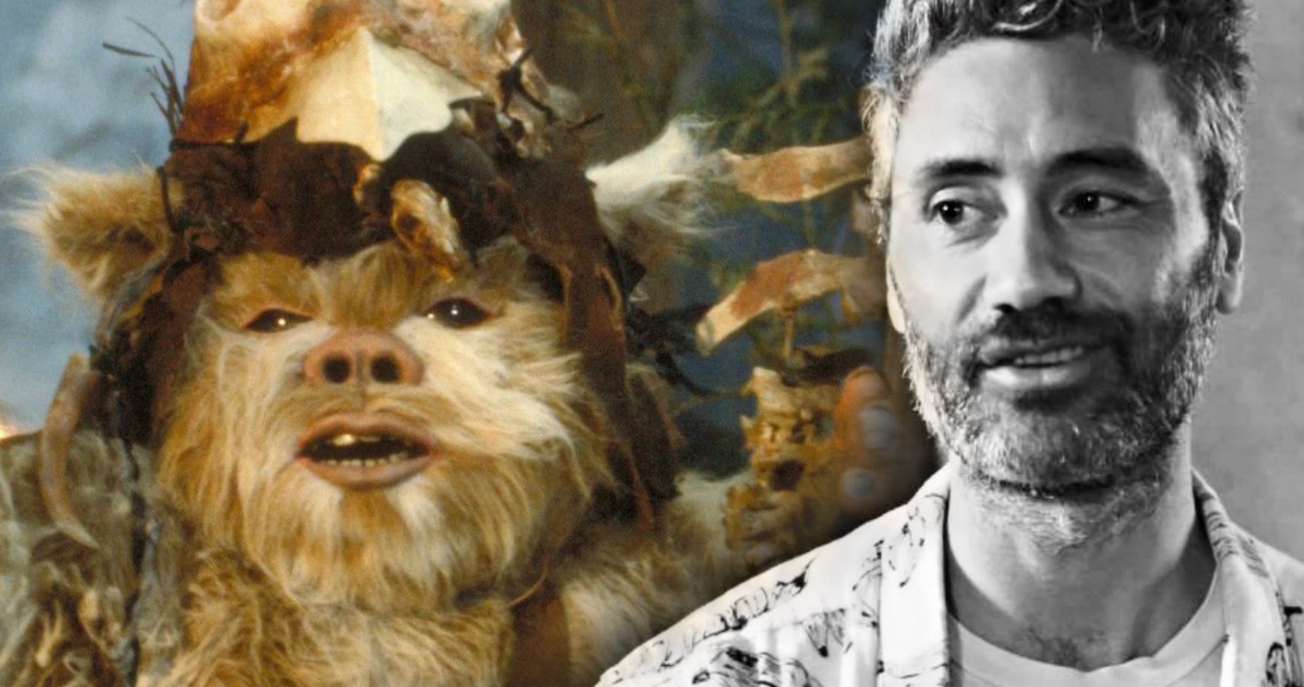 Mia Wasikowska In Taika Waititi's Next Family Movie Mia Wasikowska In Taika Waititi's Next Family Movie