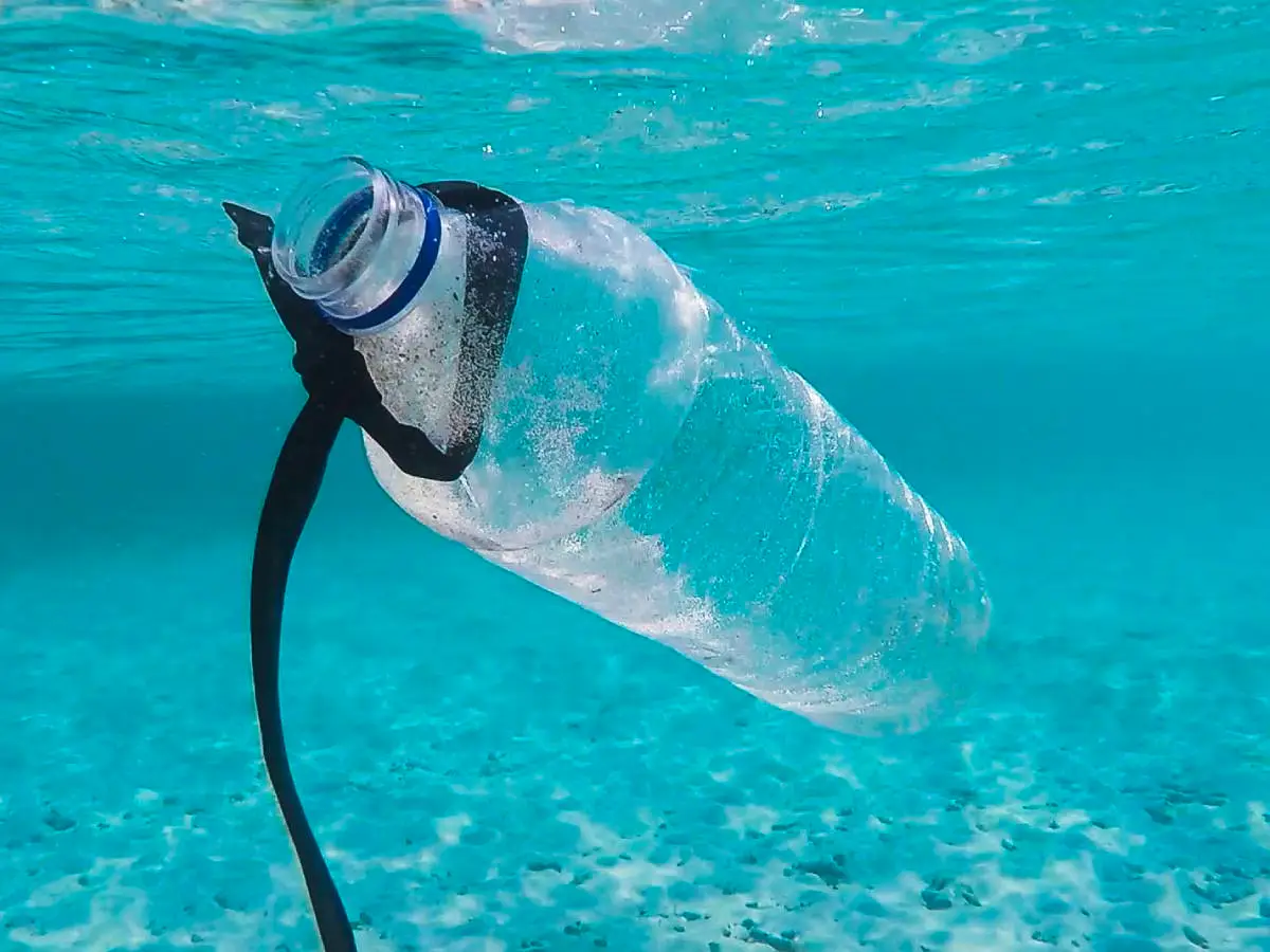 Microplastiche Negli Oceani, Nei Fiumi E Nei Laghi: Un Confronto Microplastiche Negli Oceani, Nei Fiumi E Nei Laghi: Un Confronto