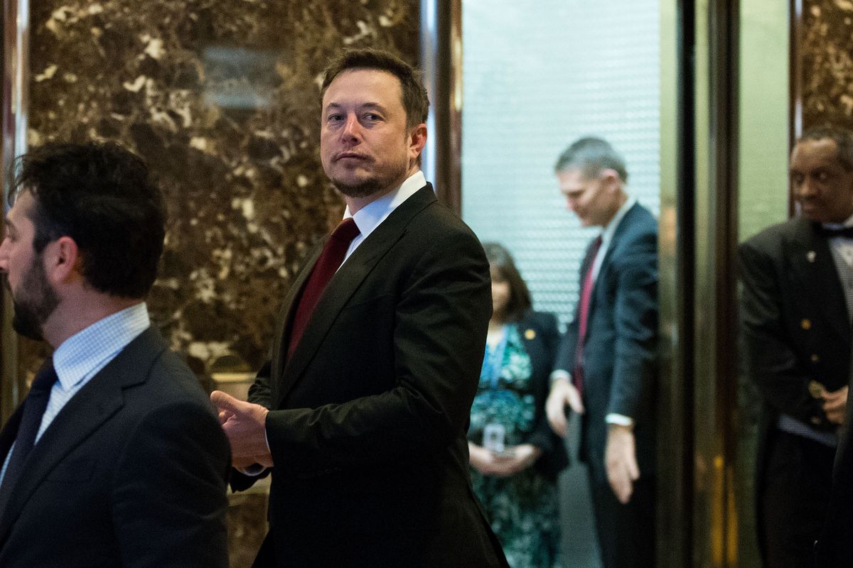 Musk Exits Trump Advisory Council: Reasons And Reactions Musk Exits Trump Advisory Council: Reasons And Reactions