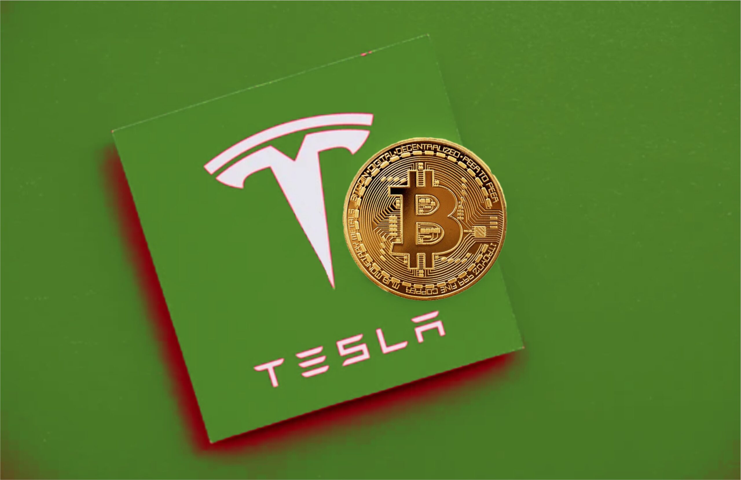 Musk's SpaceX Holdings: A $43 Billion Gain Over Tesla Investment Musk's SpaceX Holdings: A $43 Billion Gain Over Tesla Investment