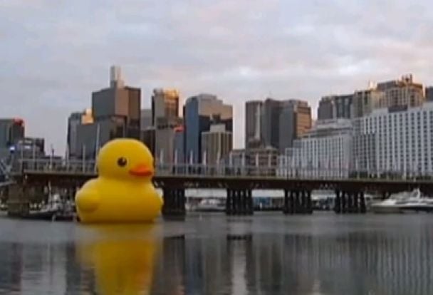 Myrtle Beach Welcomes World's Biggest Rubber Duck: A Focus On Water Safety Myrtle Beach Welcomes World's Biggest Rubber Duck: A Focus On Water Safety