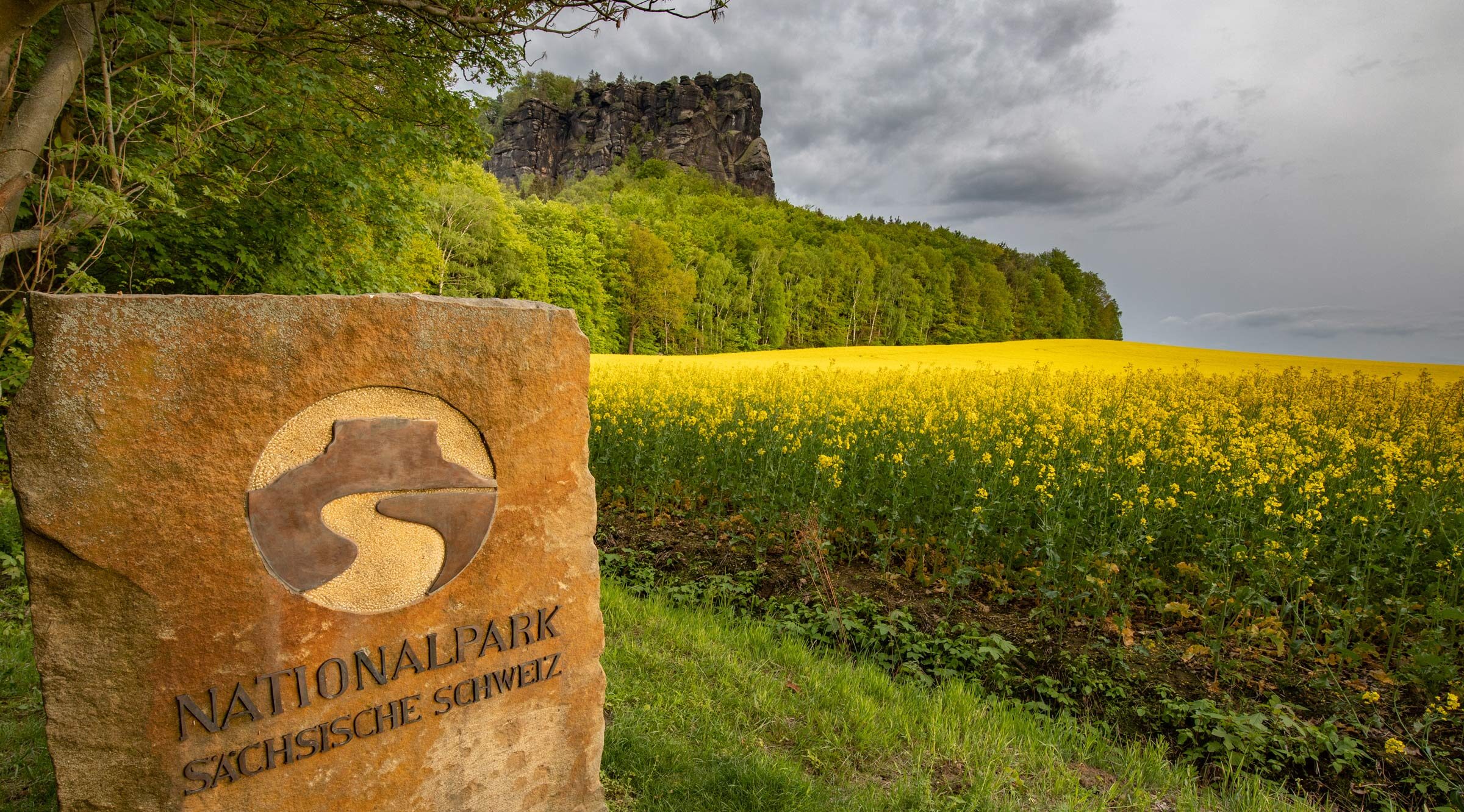 Nationalpark Sächsische Schweiz: Umfangreiche Naturschutzmaßnahme Mit 190.000 Bäumen Nationalpark Sächsische Schweiz: Umfangreiche Naturschutzmaßnahme Mit 190.000 Bäumen