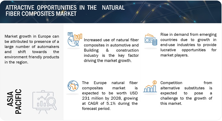 Natural Fiber Composites Market: A Detailed Global Forecast To 2029 Natural Fiber Composites Market: A Detailed Global Forecast To 2029