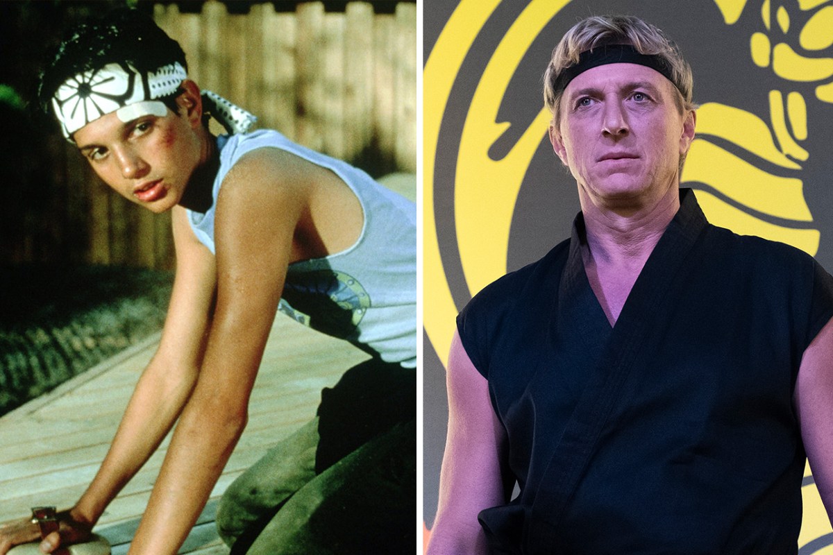 Netflix Cobra Kai: Unveiling The Karate Kid Connection Netflix Cobra Kai: Unveiling The Karate Kid Connection