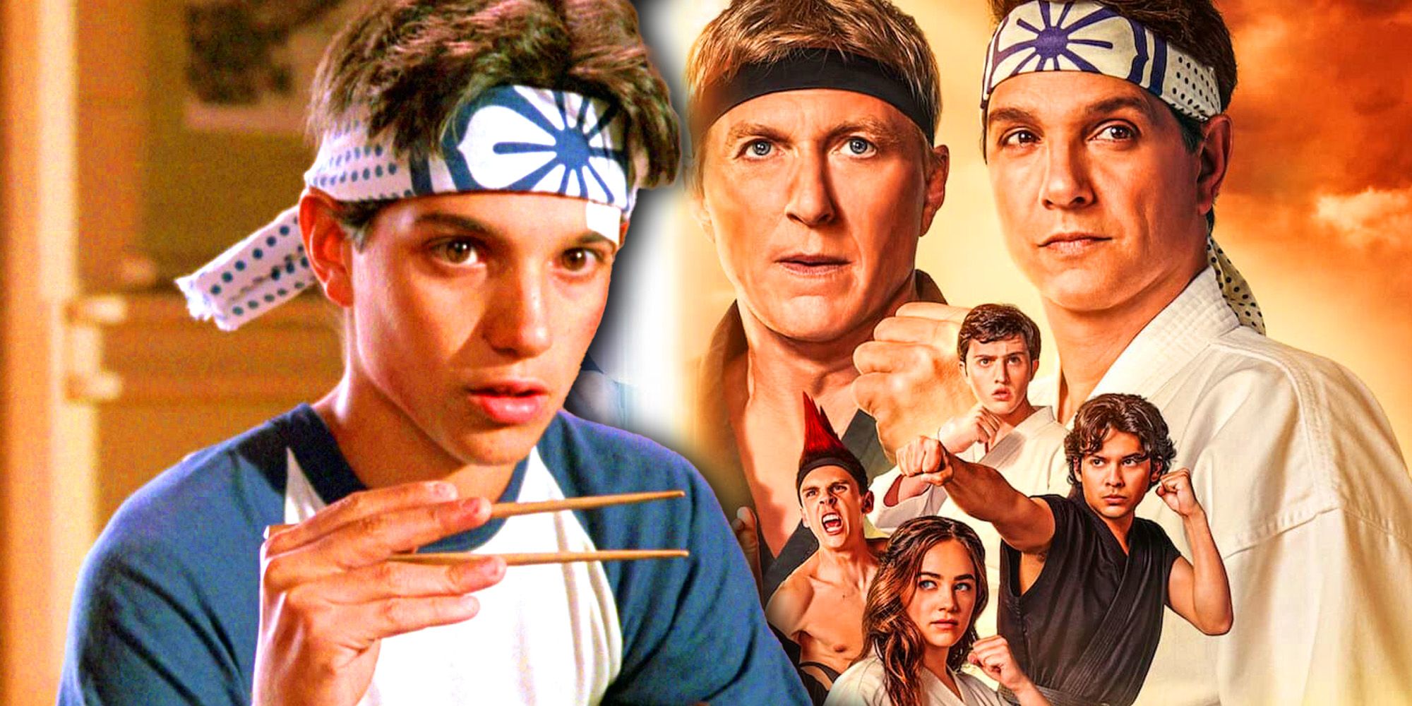 Netflix's Cobra Kai: How It Expands The Karate Kid Story Netflix's Cobra Kai: How It Expands The Karate Kid Story