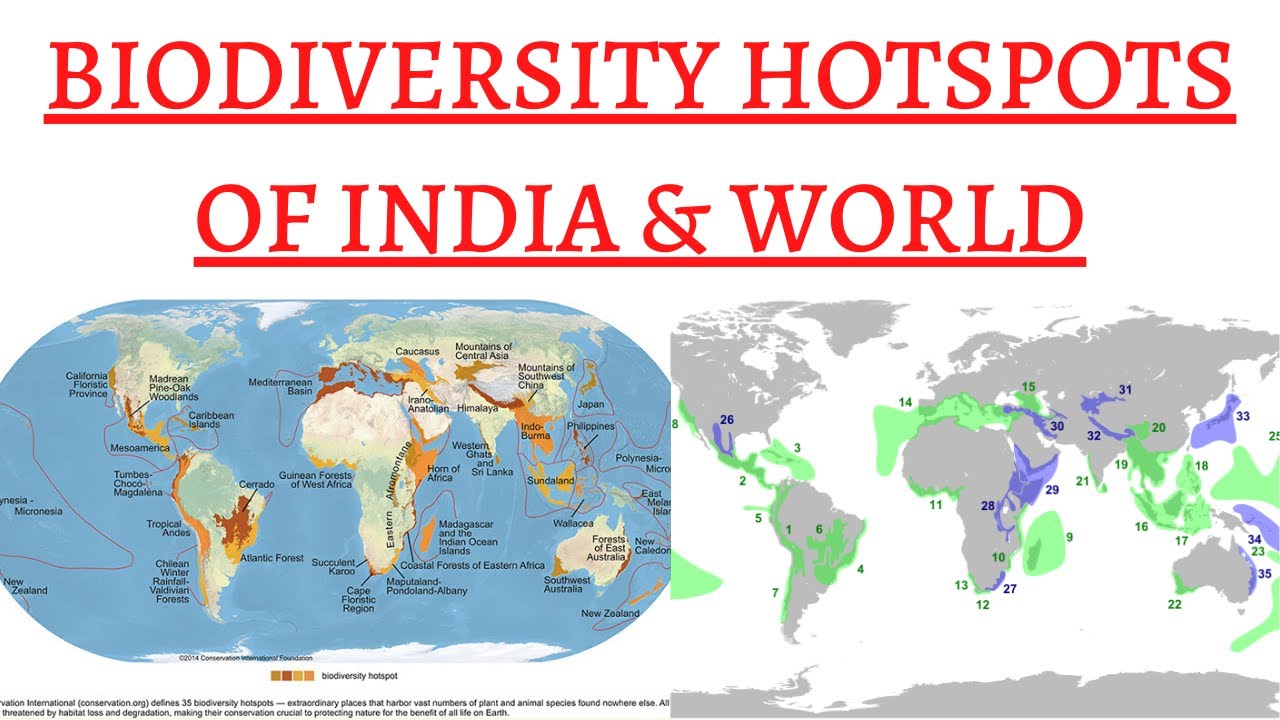 New Business Hotspots: A Map Of The Country's Fastest-Growing Areas New Business Hotspots: A Map Of The Country's Fastest-Growing Areas