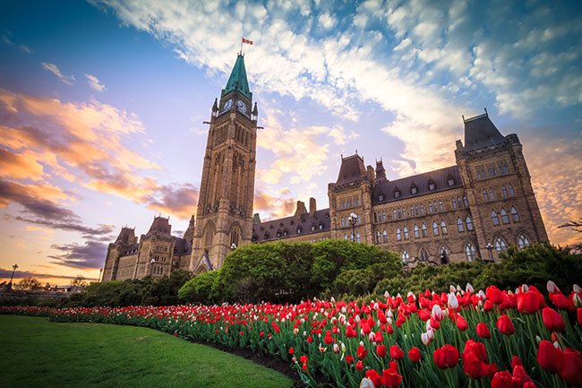 New Five-Point Plan From Canadian Auto Dealers Addresses Growing US Trade Concerns New Five-Point Plan From Canadian Auto Dealers Addresses Growing US Trade Concerns