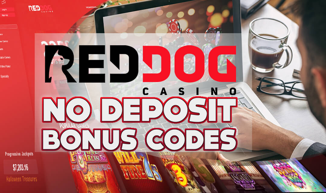 No Deposit Bonus Codes: Your May 2025 Guide No Deposit Bonus Codes: Your May 2025 Guide