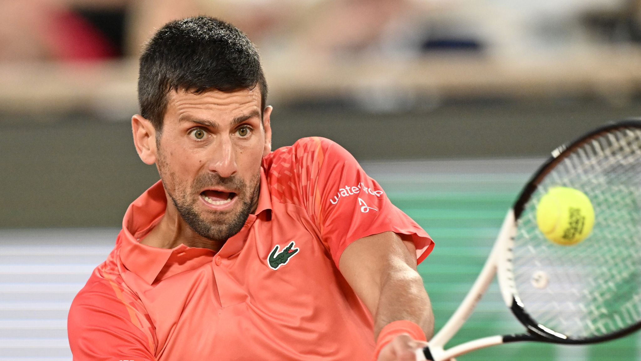 Novak Djokovic: Kortlarda Zirvenin Yenilmez Kralı Novak Djokovic: Kortlarda Zirvenin Yenilmez Kralı