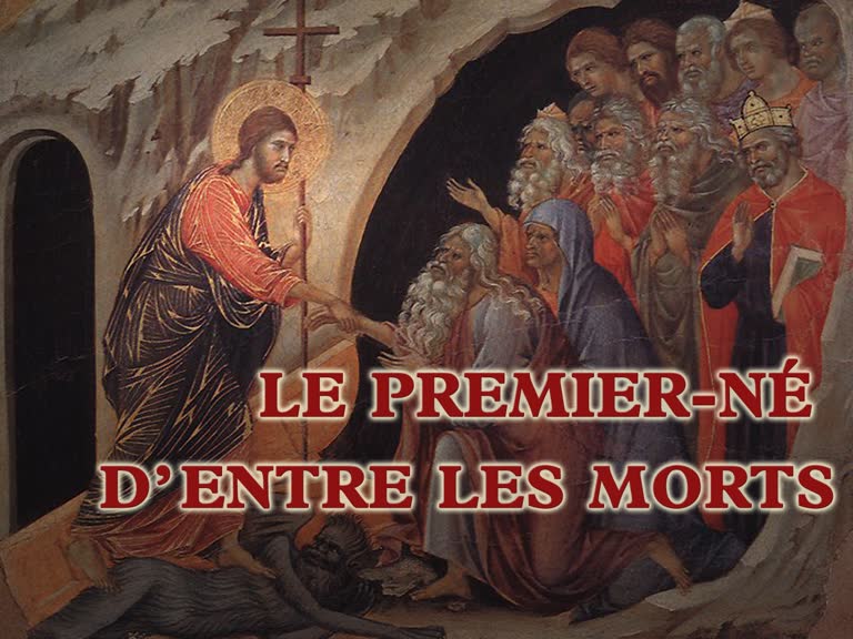Offre Spéciale : Poids En Chocolat Pour Le Premier Né De L'année - Boulangerie Normande Offre Spéciale : Poids En Chocolat Pour Le Premier Né De L'année - Boulangerie Normande