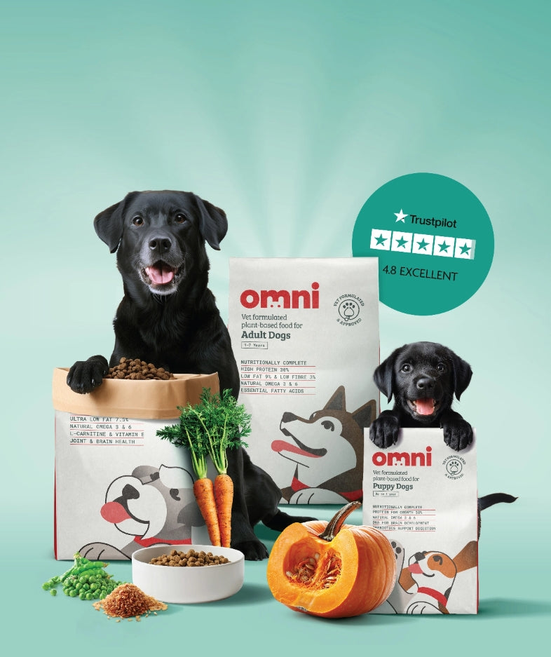 Omni Wins Dragon's Den Investment For Plant-Based Dog Food